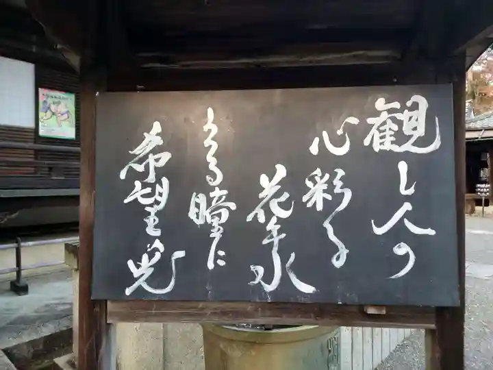 柳谷観音 楊谷寺(京都府)