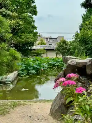 東寺（教王護国寺）(京都府)