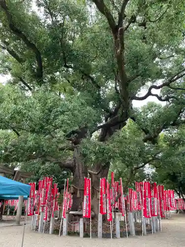 住吉大社の自然