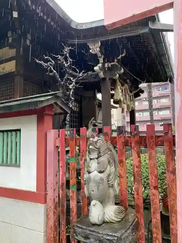 柳森神社の狛犬