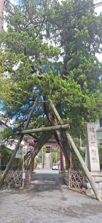 荏柄天神社(神奈川県)