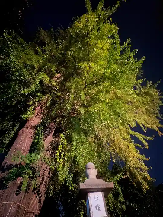 三栖神社(京都府)