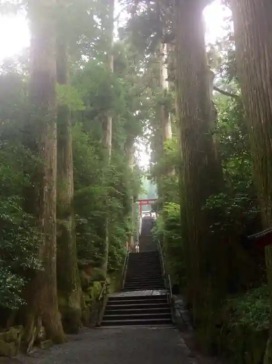 箱根神社のその他建物