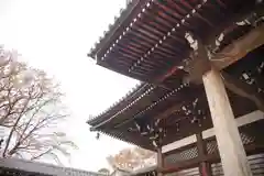 観泉寺の本殿