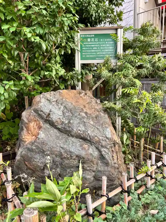 腰掛稲荷神社(東京都)