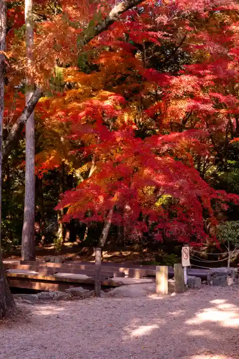 賀茂別雷神社(上賀茂神社)(京都府)