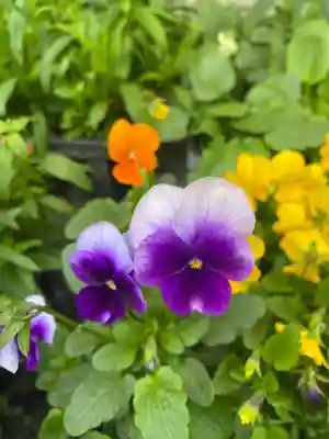 彦嶽宮(熊本県)