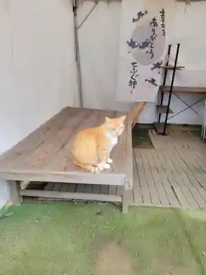 縣主神社(岡山県)