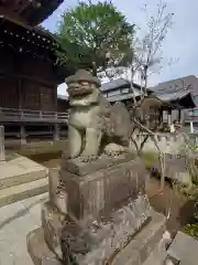 白山神社の狛犬