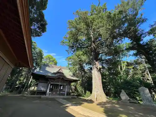 松山神社の自然