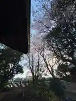 日吉神社の{uncategorized: "未分類", other: "その他", undefined: "問題あり", building: "その他建物", grave: "お墓", sacred_gate: "鳥居", guardian: "狛犬", statue: "像", buddha: "仏像", history: "歴史", nature: "自然", garden: "庭園", animal: "動物", pagoda: "塔", temizu: "手水舎", mountain_gate: "山門・神門", sanctuary: "本殿・本堂", subordinate: "末社・摂社", art: "芸術", scenery: "景色", jizo: "地蔵", ema: "絵馬", goshuin: "御朱印", omikuji: "おみくじ", items: "授与品その他", amulet: "お守り", goshuincho: "御朱印帳", eats: "食事", festival: "お祭り", votive_dance: "神楽", shichigosan: "七五三参", wedding: "結婚式", experience: "体験その他", initially: "初詣", around: "周辺", anti_infection: "感染症対策"}