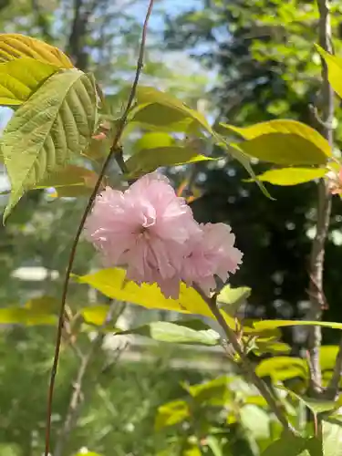 上小倉神社(和歌山県)