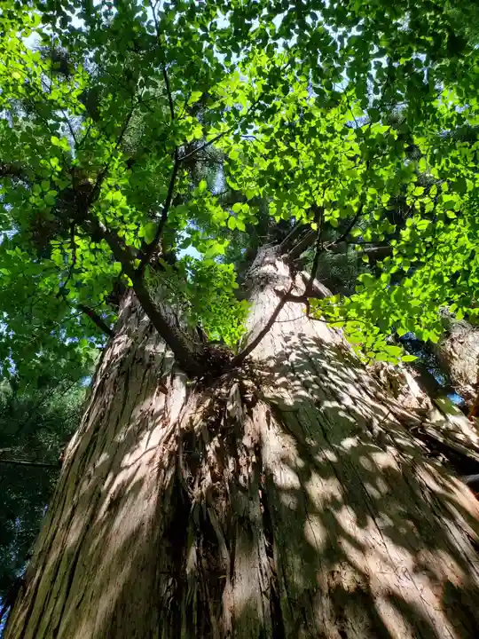 磐椅神社(福島県)