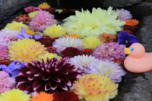 大鏑神社の手水舎