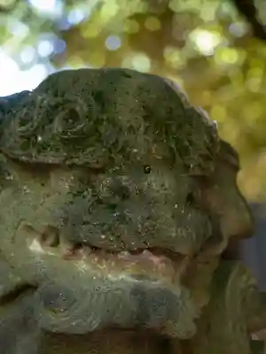 赤坂氷川神社(東京都)