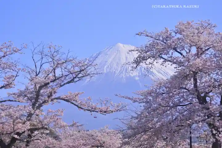 富士山本宮浅間大社の景色