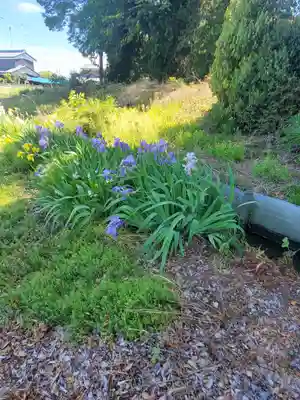 只上神社(群馬県)