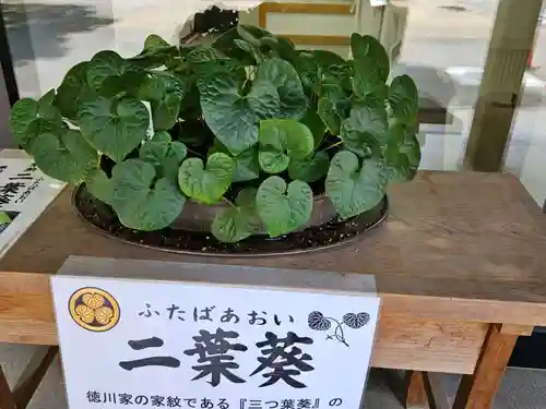 静岡浅間神社の建物その他