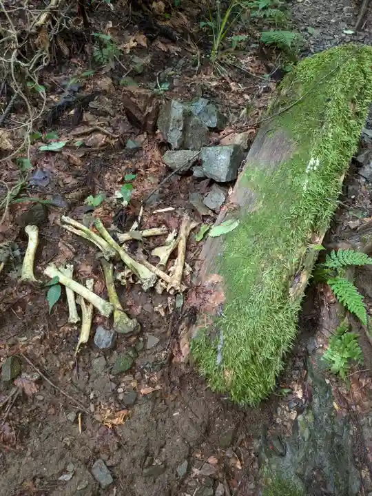 加蘇山神社 奥ノ宮の自然
