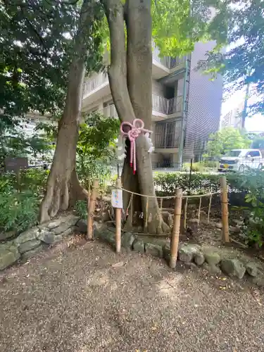 伊和志津神社(兵庫県)
