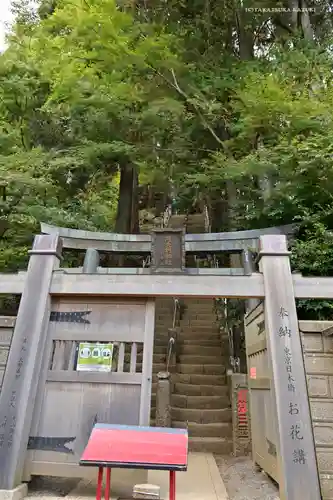 大山阿夫利神社の鳥居