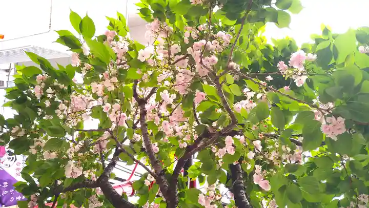 吉原神社(東京都)