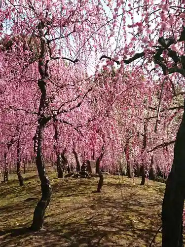 城南宮(京都府)