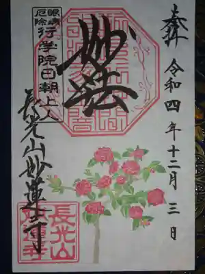 御朱印　寒椿