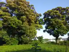 香取神社の自然