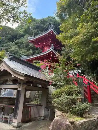 金泉寺(徳島県)