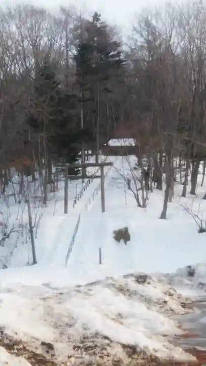 塘路神社の鳥居