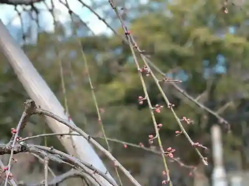 伊勢の国 四天王寺の自然
