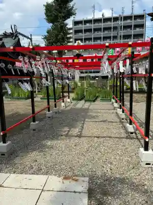 磐井神社(東京都)