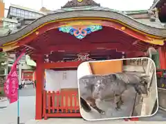 神田神社（神田明神）の動物