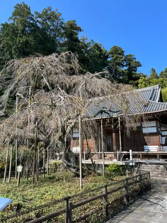太山寺(栃木県)