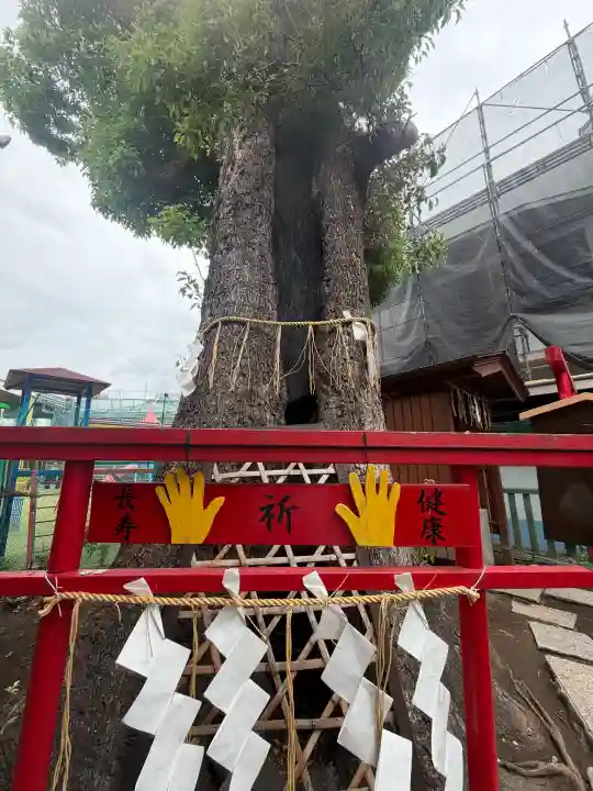 五方山熊野神社の{uncategorized: "未分類", other: "その他", undefined: "問題あり", building: "その他建物", grave: "お墓", sacred_gate: "鳥居", guardian: "狛犬", statue: "像", buddha: "仏像", history: "歴史", nature: "自然", garden: "庭園", animal: "動物", pagoda: "塔", temizu: "手水舎", mountain_gate: "山門・神門", sanctuary: "本殿・本堂", subordinate: "末社・摂社", art: "芸術", scenery: "景色", jizo: "地蔵", ema: "絵馬", goshuin: "御朱印", omikuji: "おみくじ", items: "授与品その他", amulet: "お守り", goshuincho: "御朱印帳", eats: "食事", festival: "お祭り", votive_dance: "神楽", shichigosan: "七五三参", wedding: "結婚式", experience: "体験その他", initially: "初詣", around: "周辺", anti_infection: "感染症対策"}