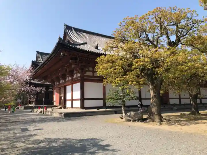 東寺(教王護国寺)(京都府)