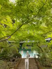 崇禅寺の建物その他