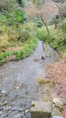 賀茂御祖神社（下鴨神社）の周辺