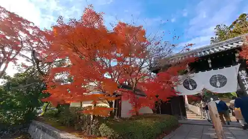 光明寺（粟生光明寺）(京都府)