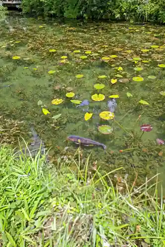 根道神社(岐阜県)