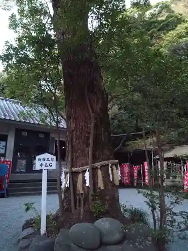 八雲神社（鎌倉・大町）(神奈川県)