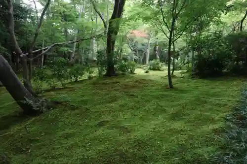 祇王寺(京都府)