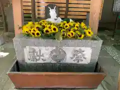 田無神社(東京都)