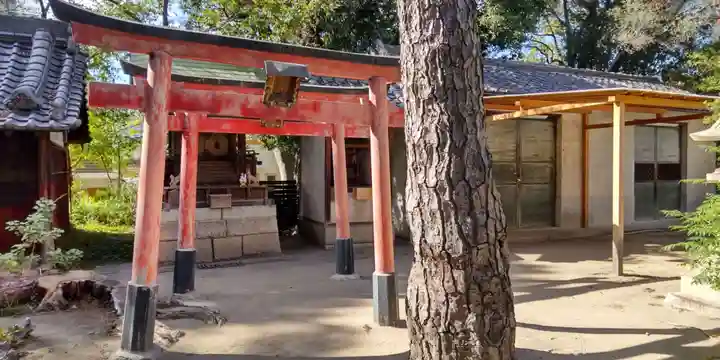 鳴尾八幡神社(兵庫県)
