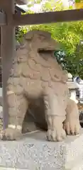 籠神社の狛犬