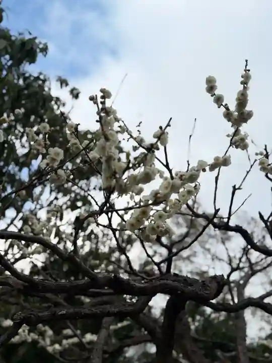 石光寺の{uncategorized: "未分類", other: "その他", undefined: "問題あり", building: "その他建物", grave: "お墓", sacred_gate: "鳥居", guardian: "狛犬", statue: "像", buddha: "仏像", history: "歴史", nature: "自然", garden: "庭園", animal: "動物", pagoda: "塔", temizu: "手水舎", mountain_gate: "山門・神門", sanctuary: "本殿・本堂", subordinate: "末社・摂社", art: "芸術", scenery: "景色", jizo: "地蔵", ema: "絵馬", goshuin: "御朱印", omikuji: "おみくじ", items: "授与品その他", amulet: "お守り", goshuincho: "御朱印帳", eats: "食事", festival: "お祭り", votive_dance: "神楽", shichigosan: "七五三参", wedding: "結婚式", experience: "体験その他", initially: "初詣", around: "周辺", anti_infection: "感染症対策"}