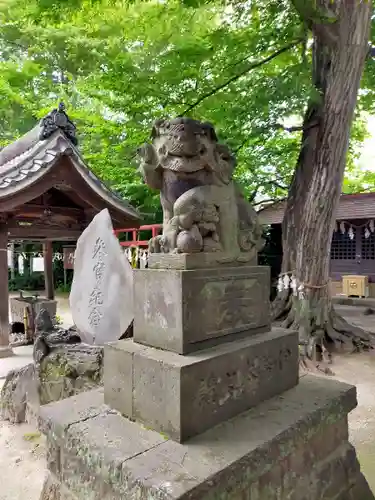 本太氷川神社の狛犬