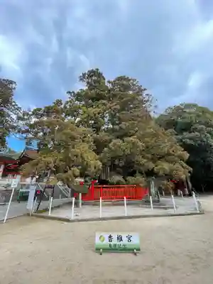 香椎宮のその他建物