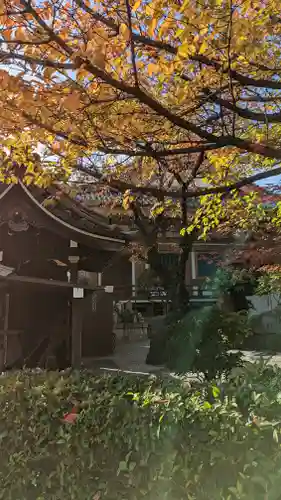 壬生寺(京都府)